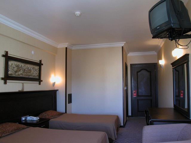 Hotel Karen 3*